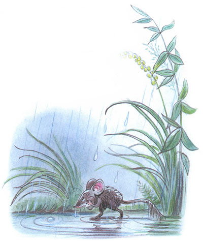 Сказка под грибом, фото 4