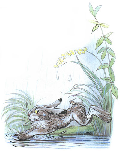 Сказка под грибом, фото 8