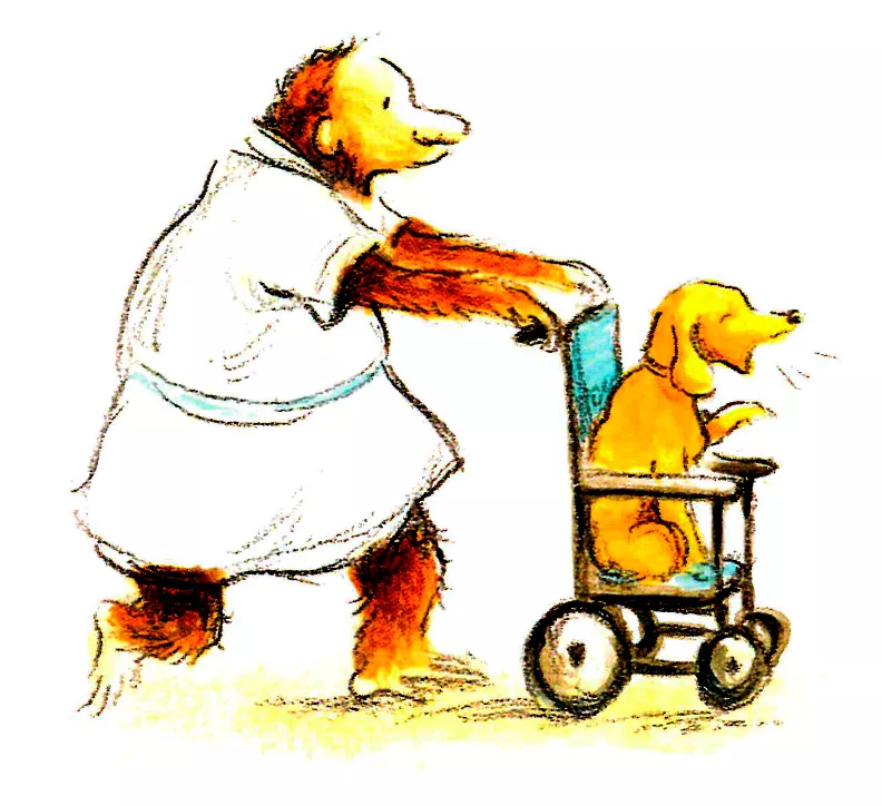 Собачка в кресле