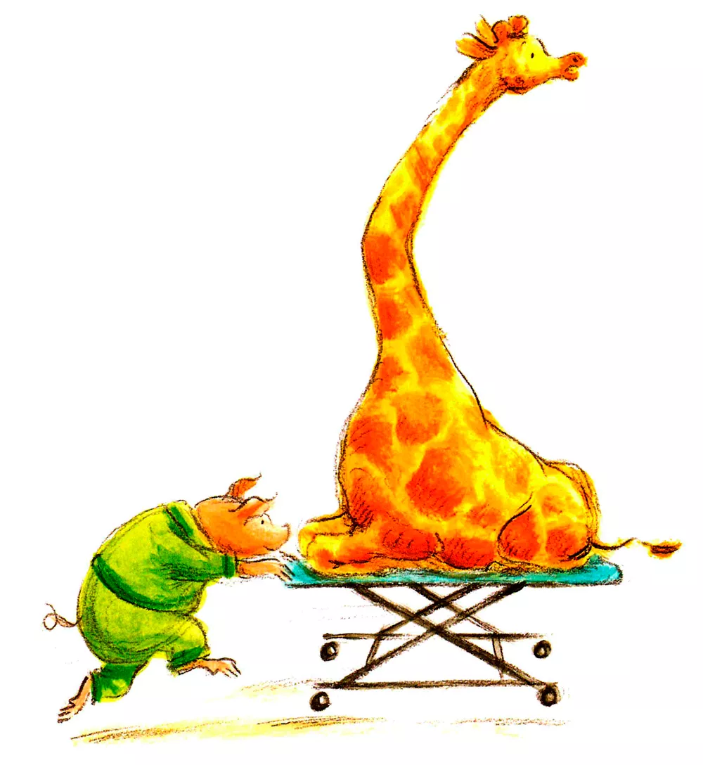 Жирафа несут на носилках