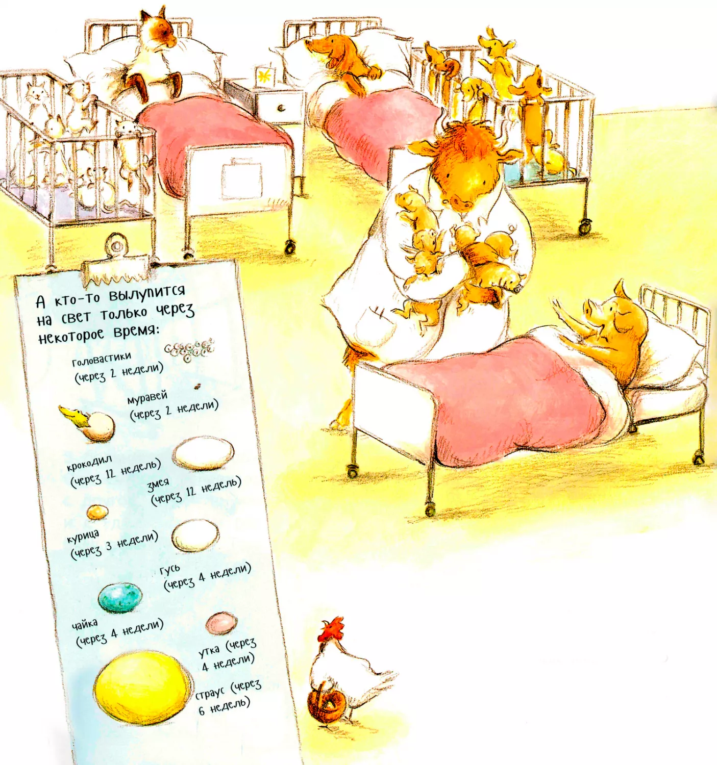 Мамочки в палате