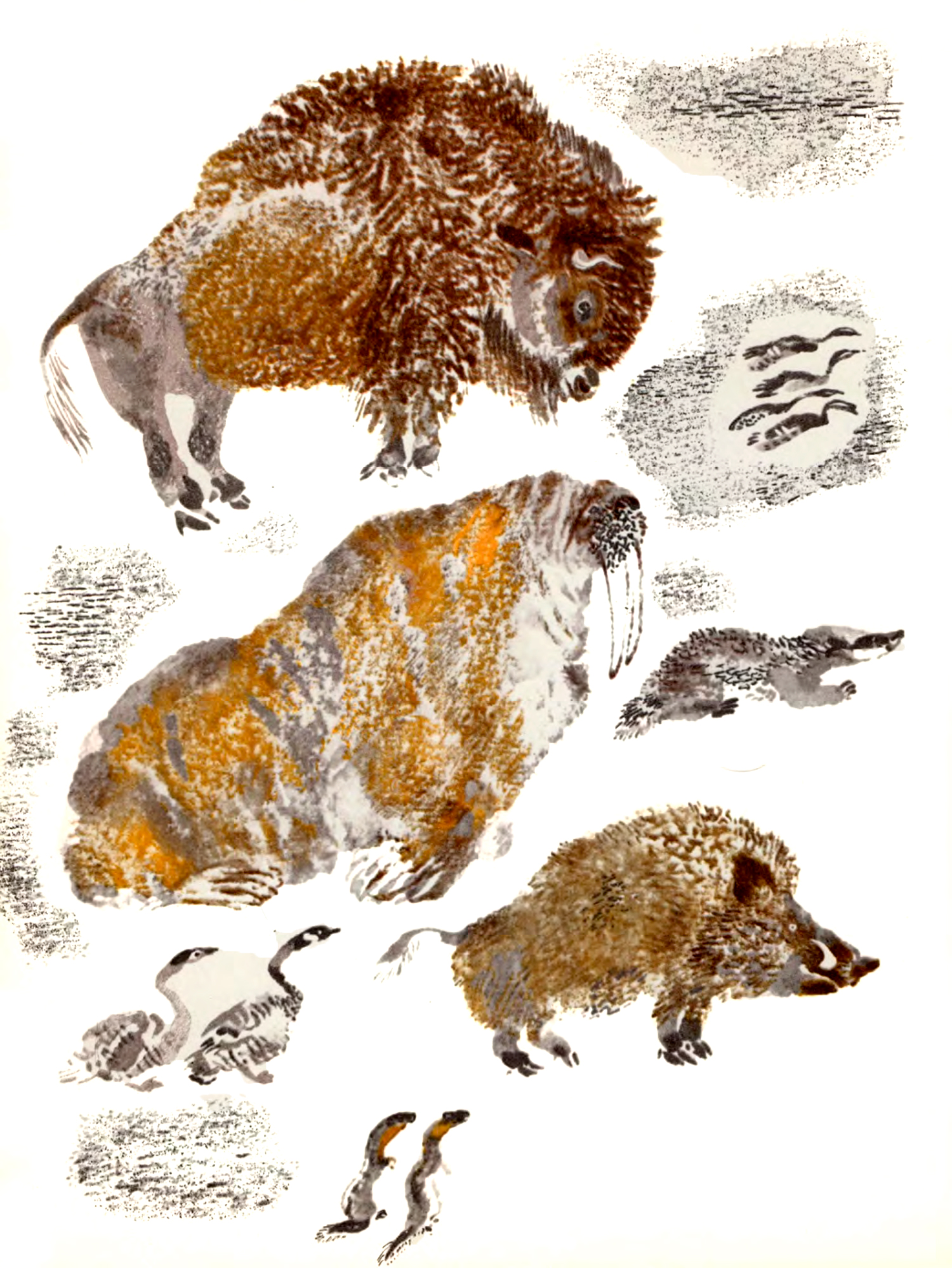 Разные звери