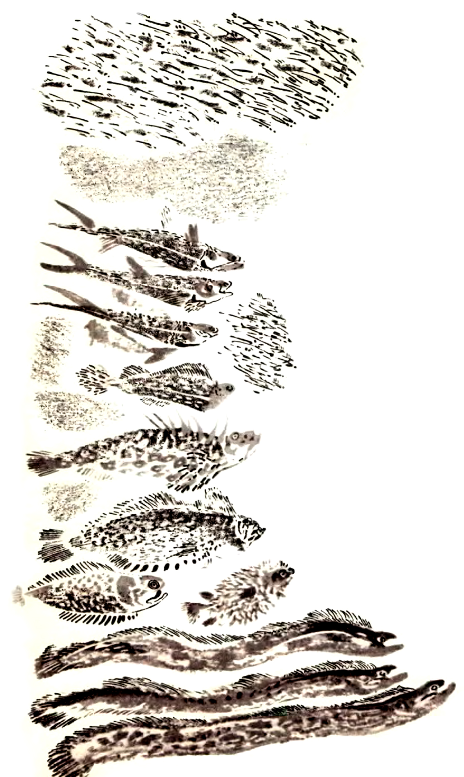 Рыба и мальки