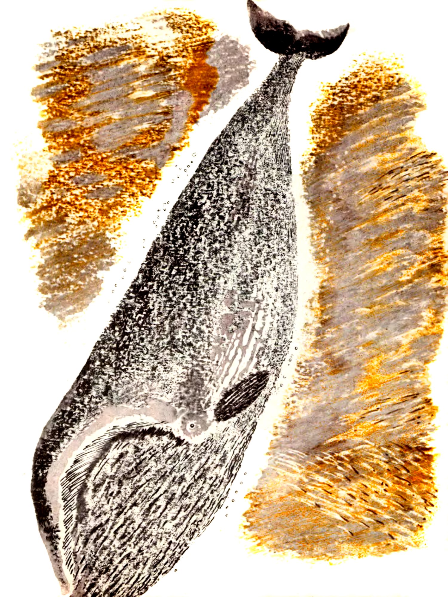 Кит под водой